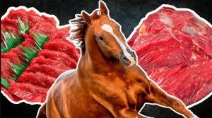 Why horse meat is considered to be bad for you