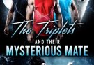 The Triplets And Their Mysterious Mate|Novel By Katie Haddad