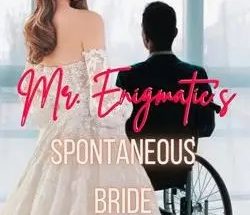 Mr. Enigmatic's Spontaneous Bride