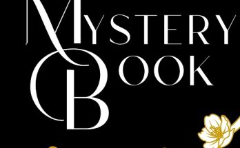 The Mystery Book